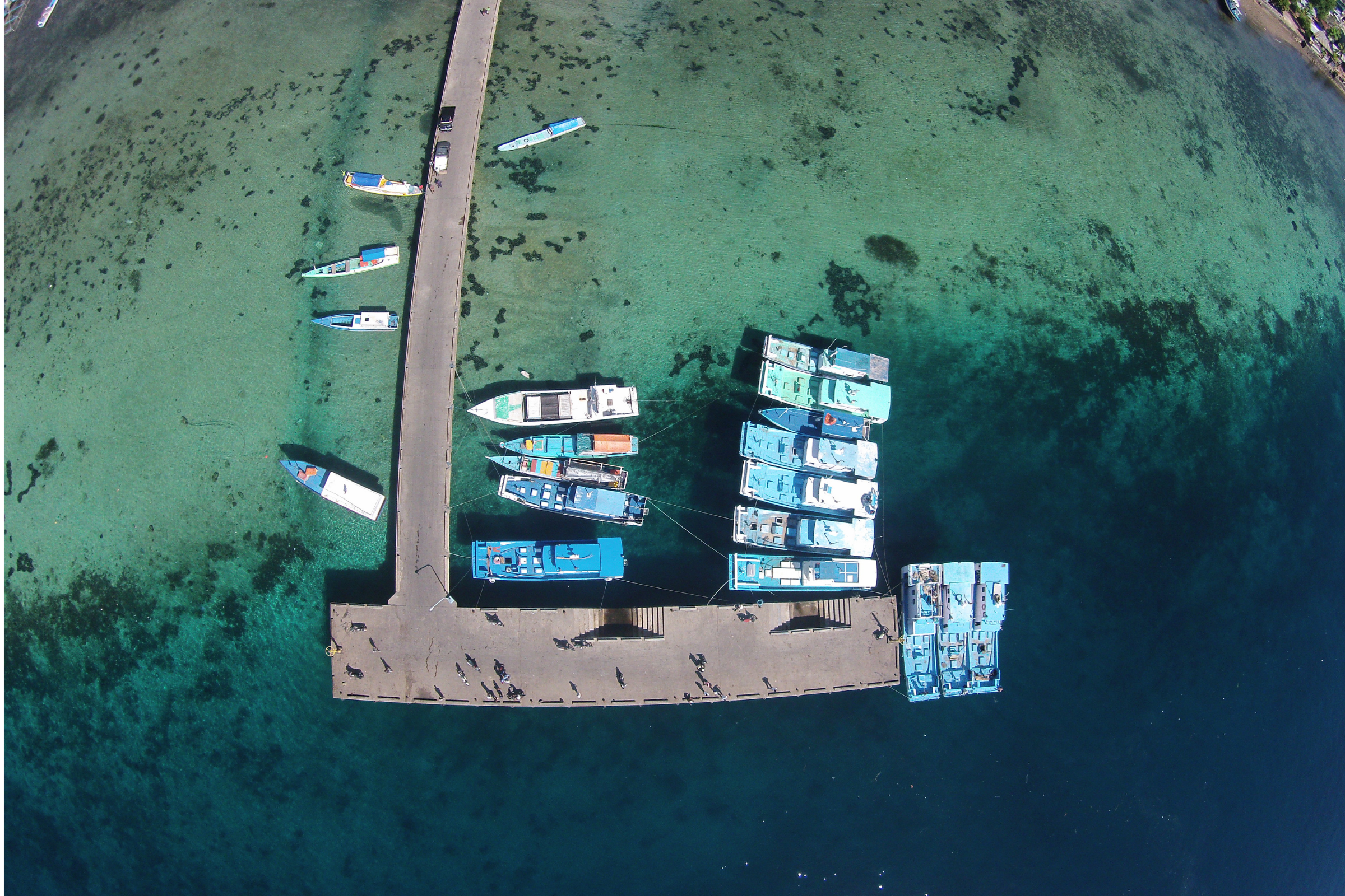 10 larantuka.webp